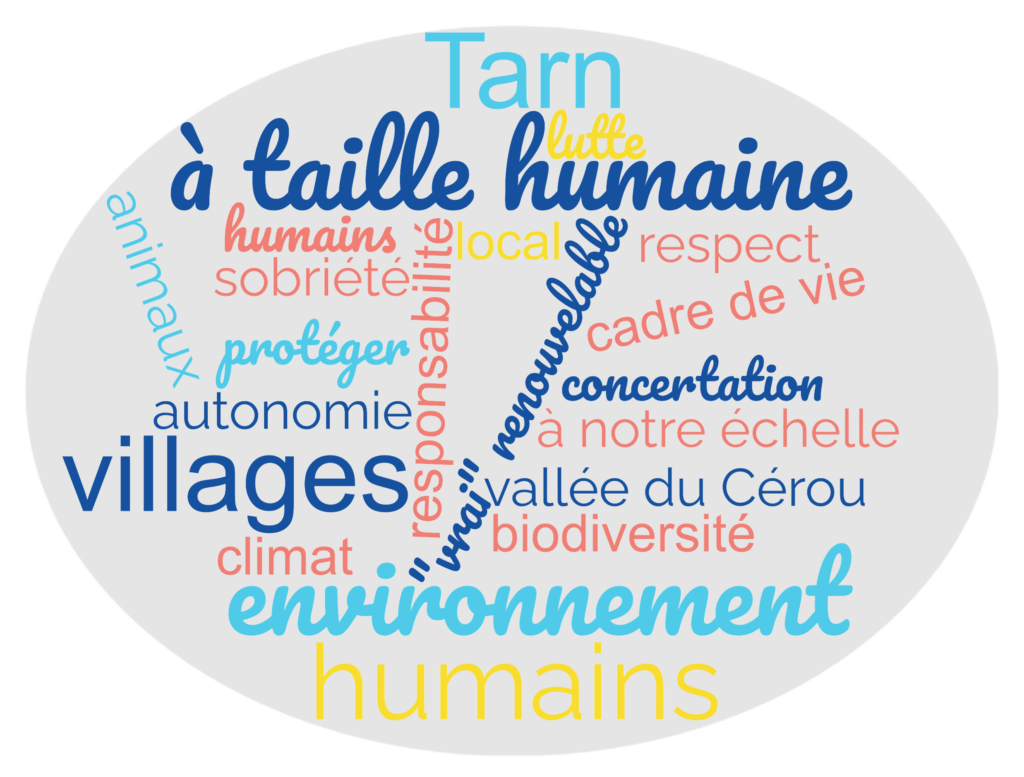 Nuage de mots - valeurs de l'association